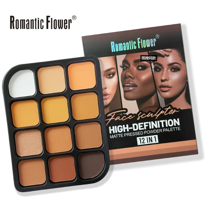Deep Skin 12-Farben-Matte-Kont – Highlighter Bronzer Palette Bewertung und Preis