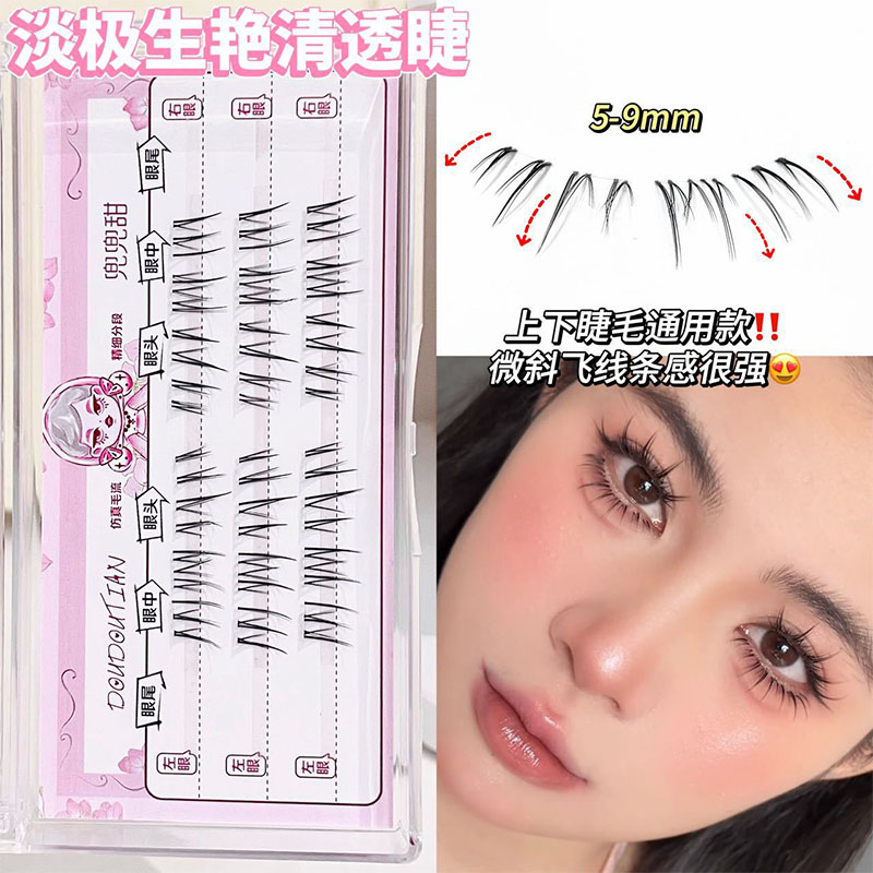 Koreanischer Stil Natürlich Au – Beauty Makeup Box Set Bewertung und Preis
